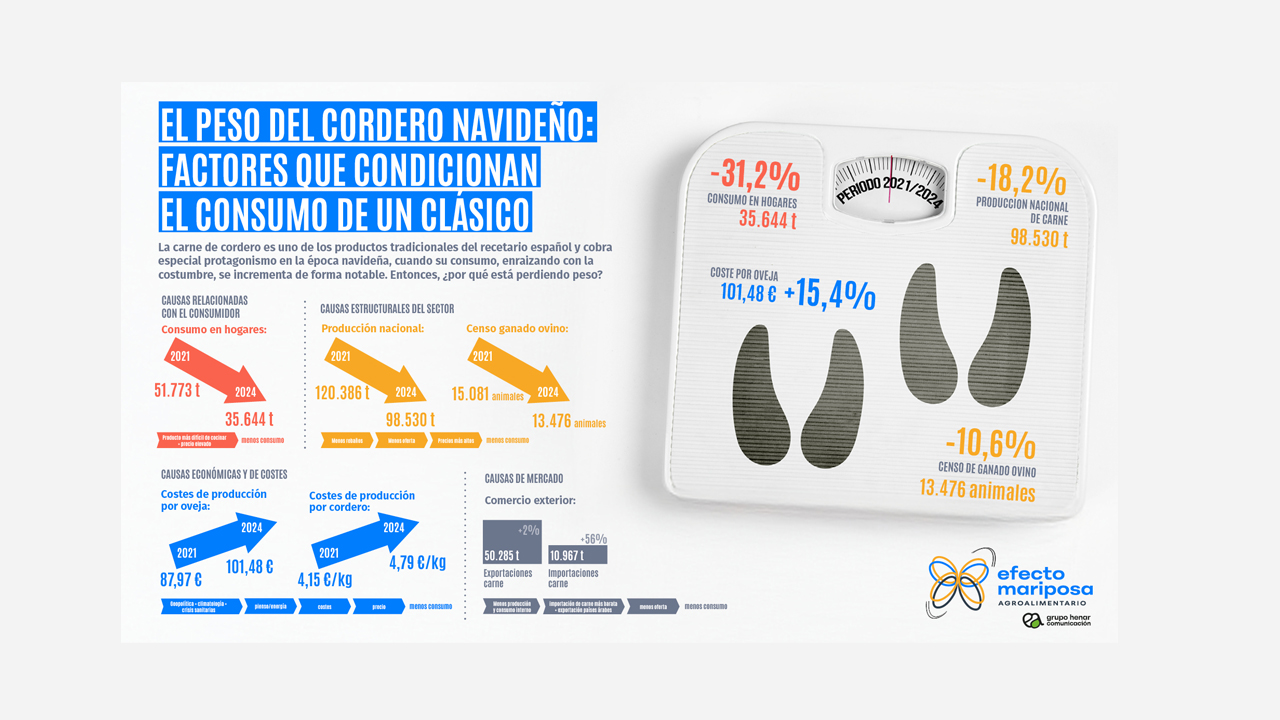 imagen principal noticia